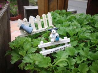 商品入荷してます♪とお知らせ☆