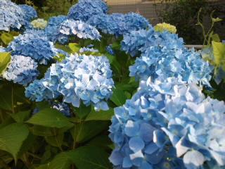 気がつけば…♪