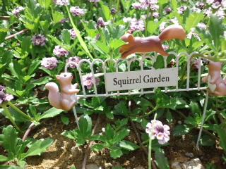 今度の日曜日は千年の森へ♪