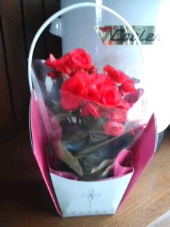 9周年感謝セール開催します♪