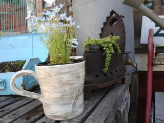 再利用で生き返る物達♪