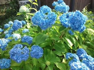 サマーセール開催します♪