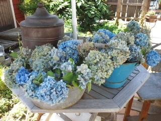 可愛いお客様と陶芸作品♪