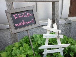 じぇじぇ(笑)と入荷商品♪