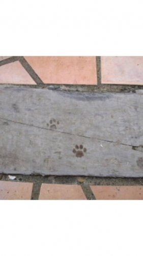 ありがとうございましたm(_ _)m