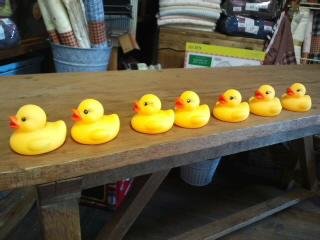 まだまだ寒いですが春物入荷♪