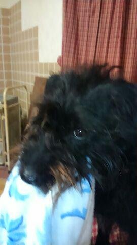 ガラケーからの～♪