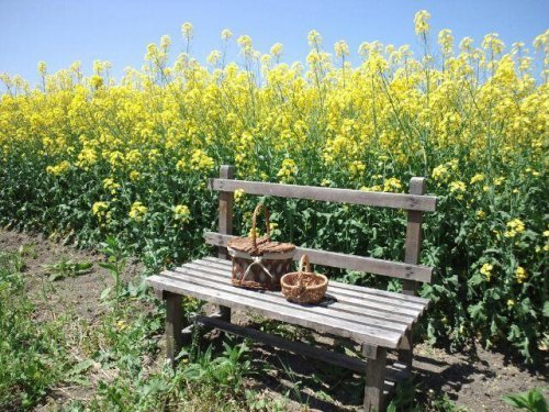 ギャザリング♪ありがとうございましたm(__)m