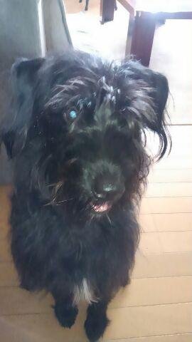 ありがとうございましたm(__)m