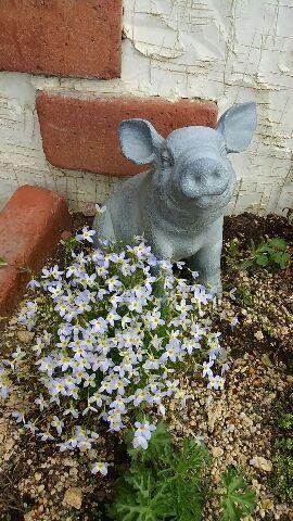 11年目も営業中(笑)