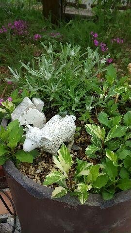 秋のギャザリング出店者さん募集♪