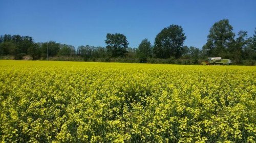 入荷商品のご案内♪