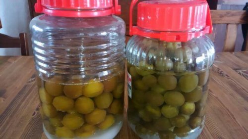 今年も作ってます♪