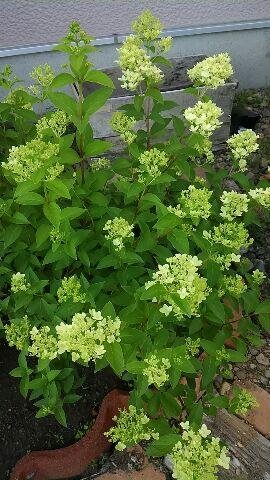 「りずむde ハンド」2014サマー編♪残席のお知らせ