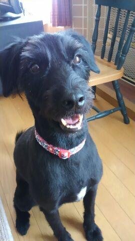 ありがとうございましたm(__)mりずむde ハンド♪