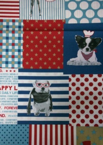 パークフェスタと入荷商品♪