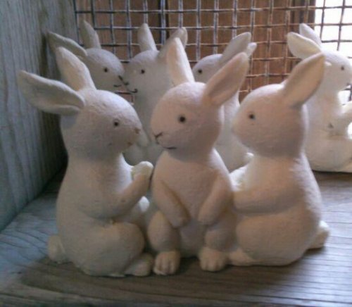 今度の日曜日はすぱーくへ♪