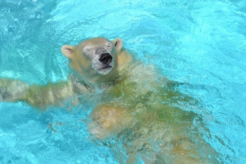 キロルの続きーー!