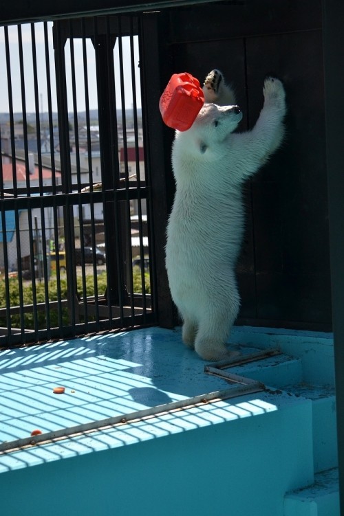 祝 開通~(^0^)やたっ!