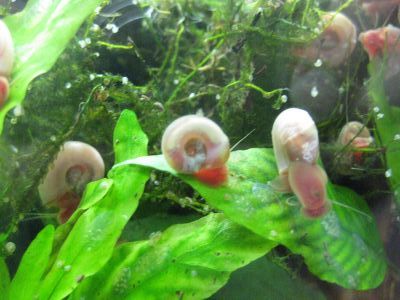 これな～んだ？ パート２だよ～(^o^)／