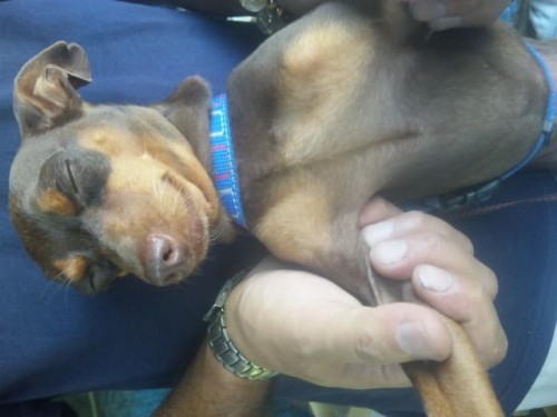 オラは、悪くねぇ～(>_<)     後ろの、親父が…