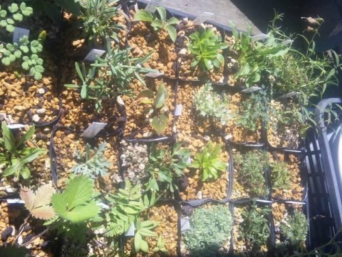 避難、逃亡したいけど…     守るべき物がある(^_^)v