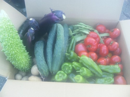 フレッシュ！フレッシュ！  ベジタブルだよ～ん(*^o^*)