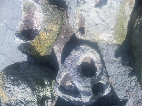 お勧めは、ありますか(*^o^*)ご協力を…