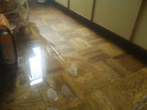 あちゃー(∋_∈)