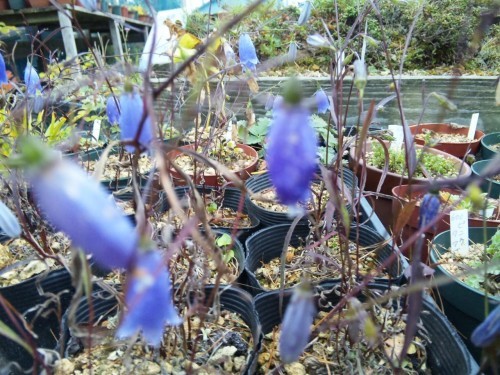 ９億円当たったら？