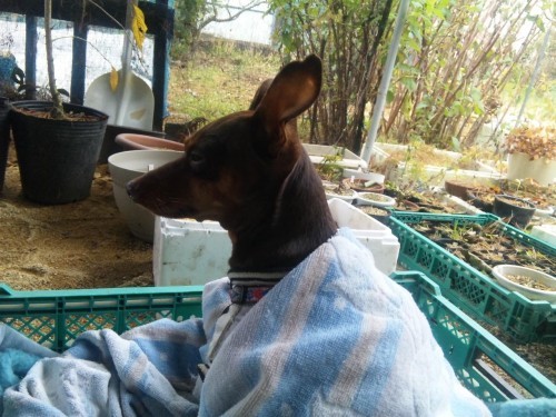 安くてかっこよくて、温かい洋服何処にあるかな～（ヘチャ）