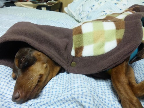 買ってもらっちゃった＼(^ー^)／