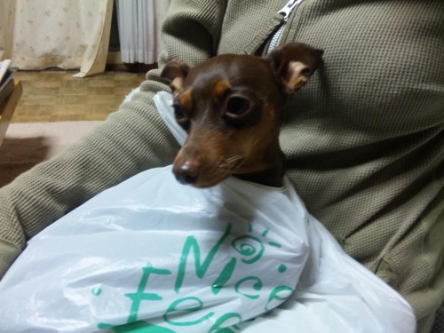 二度寝だよん(￣∀￣)