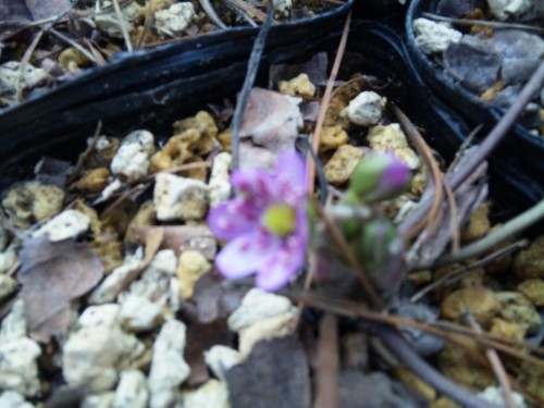 今季、初めてのお客様(*^o^*)