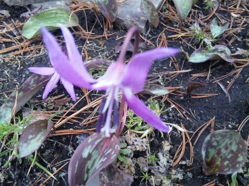 ありがたい言葉(*^o^*)