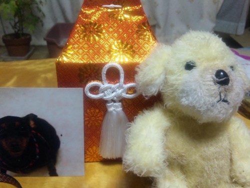 さようならヘチャ。そして、皆様ありがとうございました。