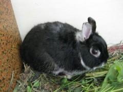 ご心配おかけいたしましたm(_ _)m