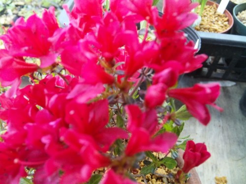 なんて優しい日(*^o^*)