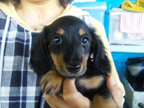 はじめまして。風太です(^O^)