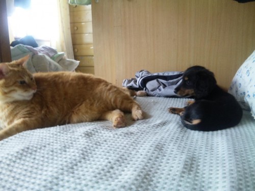 風太にメロメロ（笑）