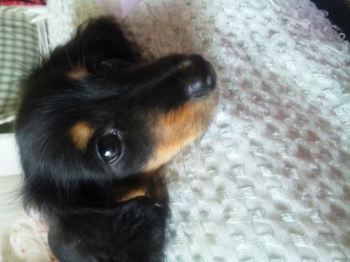 『今年も来たよ(*^o^*)』