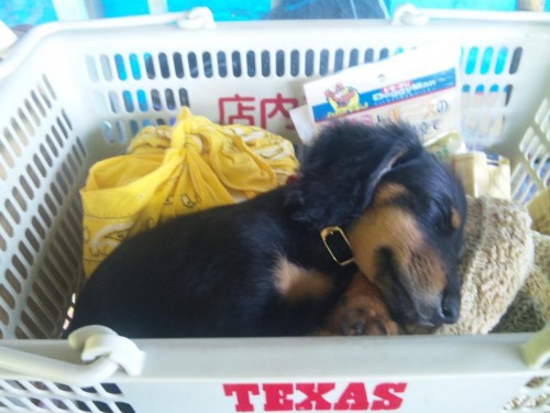 風太三ヶ月(*^o^*)