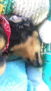 気が付けば八月も終わる…