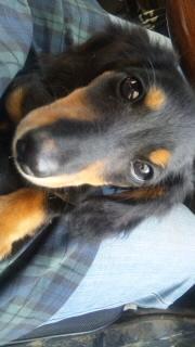 産まれました(*^o^*)