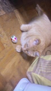 出会いは、不思議ですね!