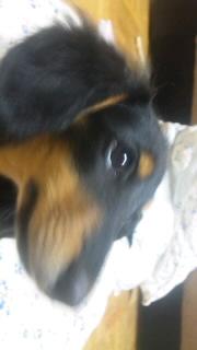 パンツ泥棒出現(^。^;)