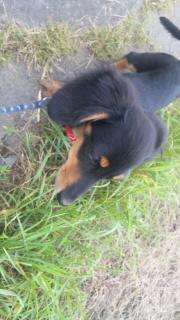 トホホ…(^。^;)な夜