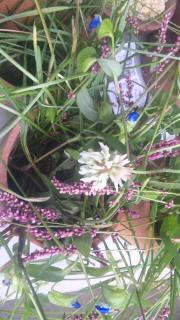 よし後継ぎ決定！