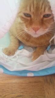 俺の場所(≧∇≦)