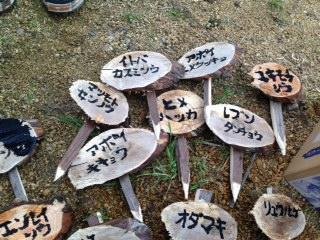 こんなん作ってみました(^o^)